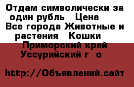 Отдам символически за один рубль › Цена ­ 1 - Все города Животные и растения » Кошки   . Приморский край,Уссурийский г. о. 